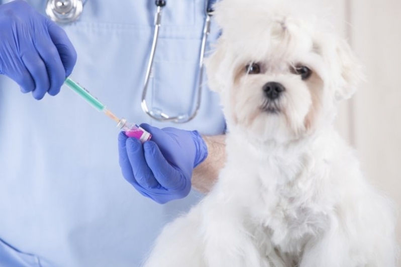 Aonde Tem Vacinas Clinica Veterinária Sé - Vacina para Animais