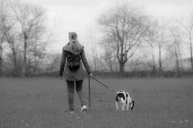 Médico Veterinário Autônomo Jardim Bonfiglioli - Médico Veterinário com Consulta Residencial