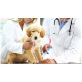 clinica veterinária animais valor Imirim