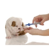 onde encontro vacina veterinária Brasilândia