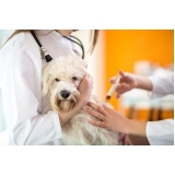 onde encontro vacinação para cães em domicílio Engenheiro Goulart