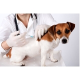 quanto custa vacinação em animais de estimação Brás