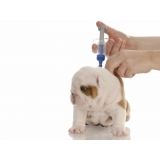 quanto custa vacinação para cães em domicílio Vila Cruzeiro