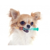 vacinação a domicílio para animais valor Santa Efigênia