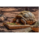 vacinação em animais exóticos Morumbi