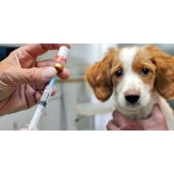 vacinação em animais valor Jardim Ângela