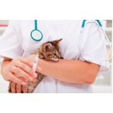 vacinação para gatos em casa valor Santana