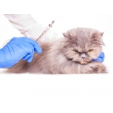 vacinas em clinica veterinária Guaianases